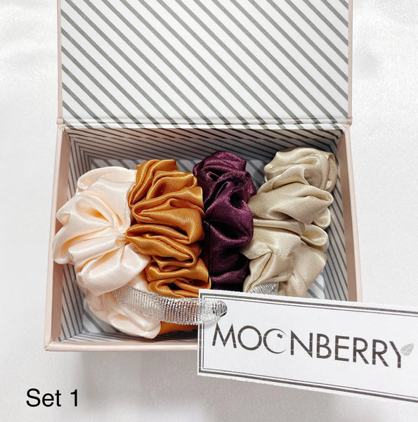 19MM Silk Scrunchies Gift Set