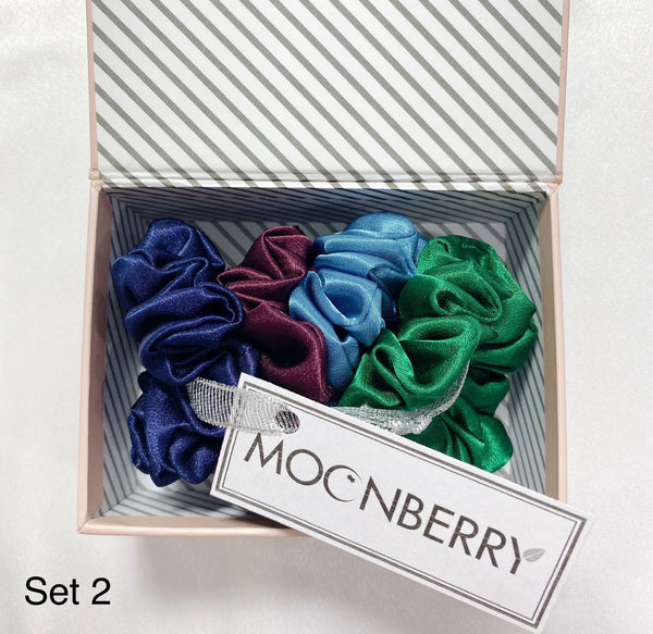 19MM Silk Scrunchies Gift Set