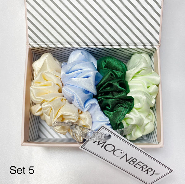 19MM Silk Scrunchies Gift Set